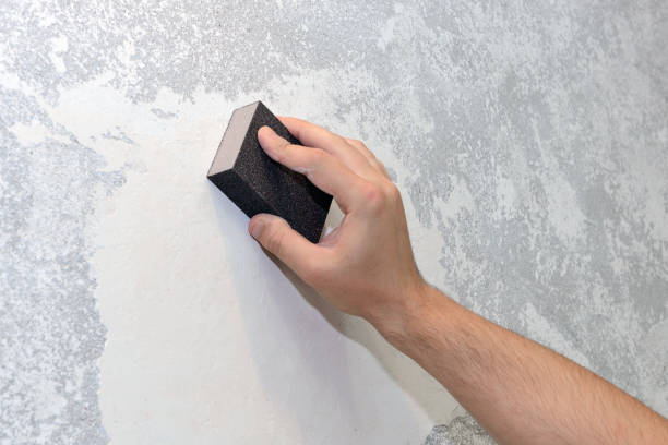 Best Commercial Mold Inspection  in Schofield Barracks, HI