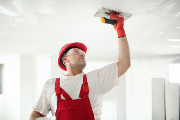 Best Mold Removal for HVAC Installations  in Schofield Barracks, HI