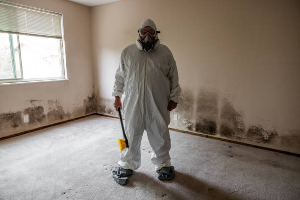 Best Post-Construction Mold Inspection  in Schofield Barracks, HI