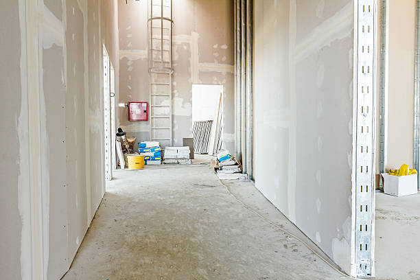 Professional Mold Removal in Schofield Barracks, HI